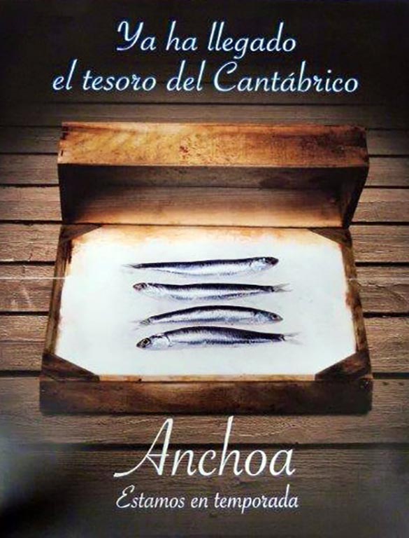 290-comienza-temporada-anchoa-cantabrico-00
